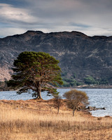 On the shores of Loch Morar
